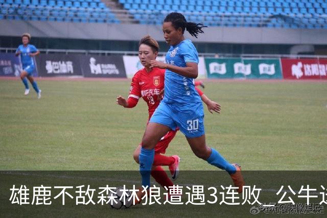 雄鹿不敌森林狼遭遇3连败 公牛送灰熊7连败